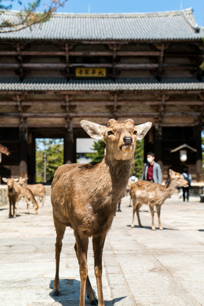 Nara